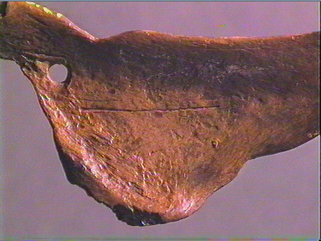 Contour découpé_5