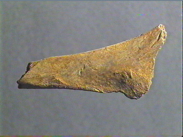 Contour découpé, os hyoïde_1