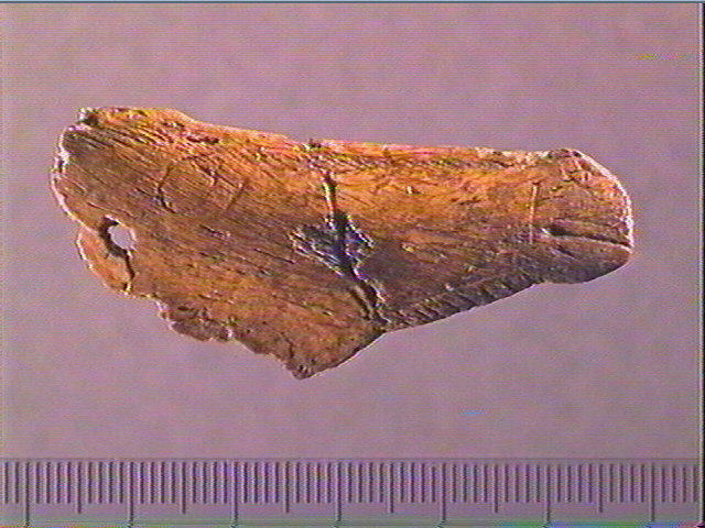Contour découpé_0