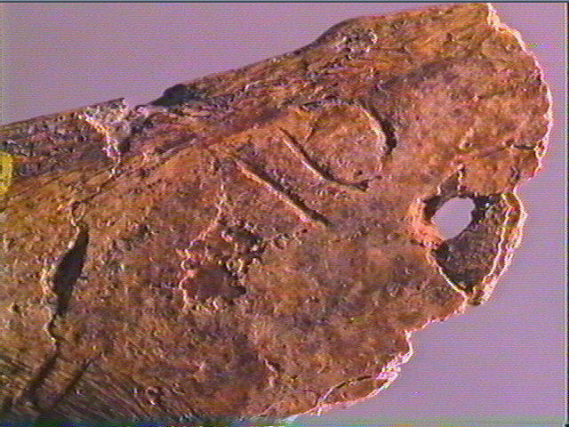 Contour découpé_4