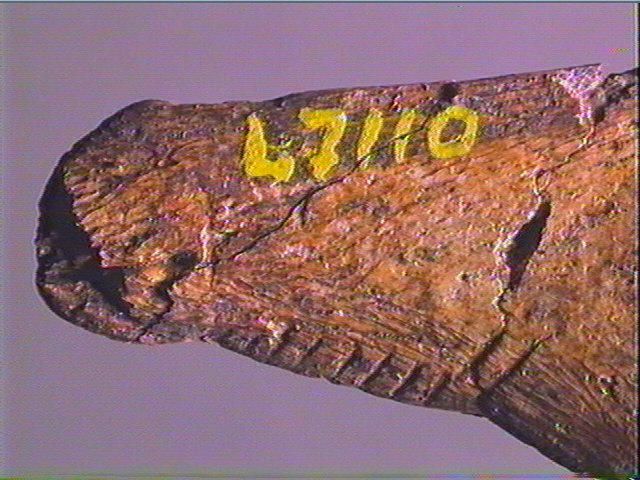 Contour découpé_5