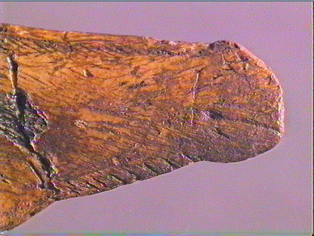 Contour découpé_6