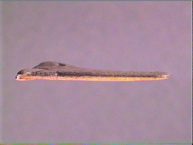 Contour découpé_2