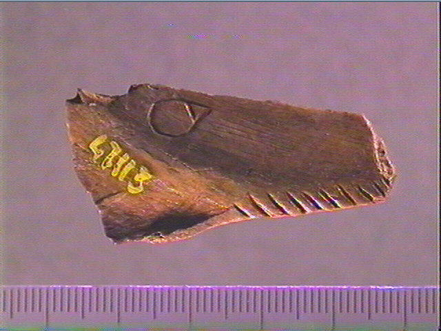Contour découpé, os hyoïde_0