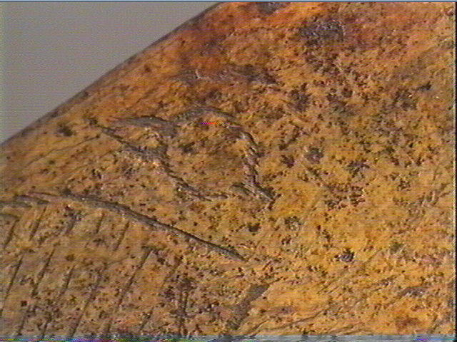 Contour découpé, os hyoïde_4