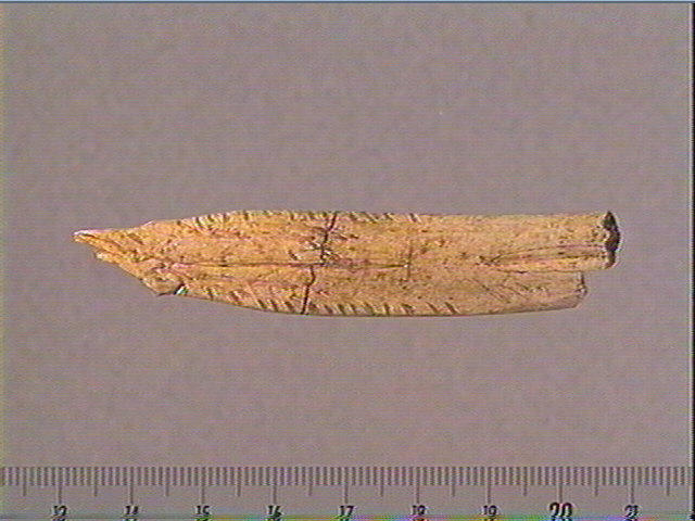 Contour découpé_0