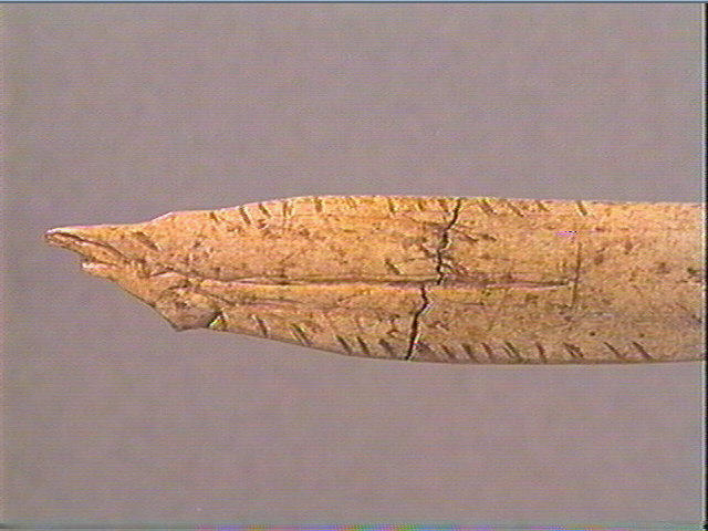 Contour découpé_2