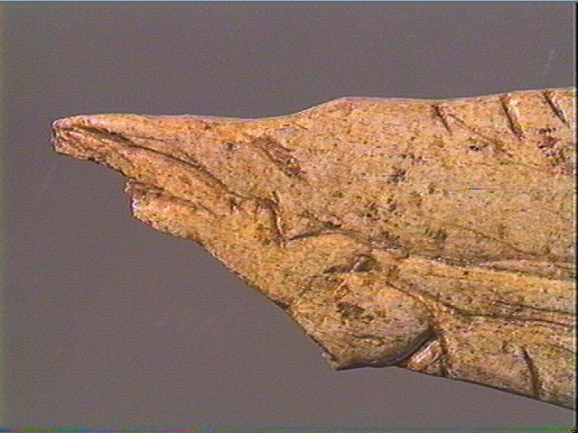 Contour découpé_3