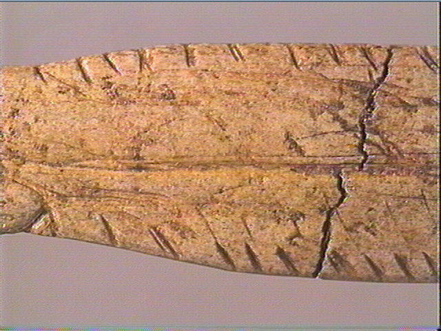 Contour découpé_5