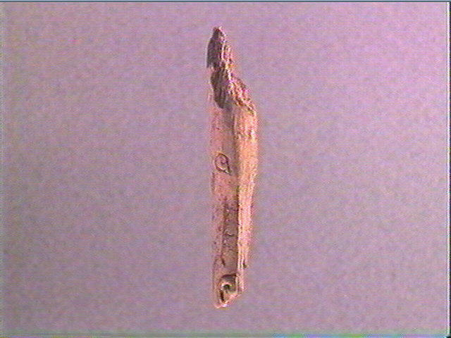 Contour découpé_1