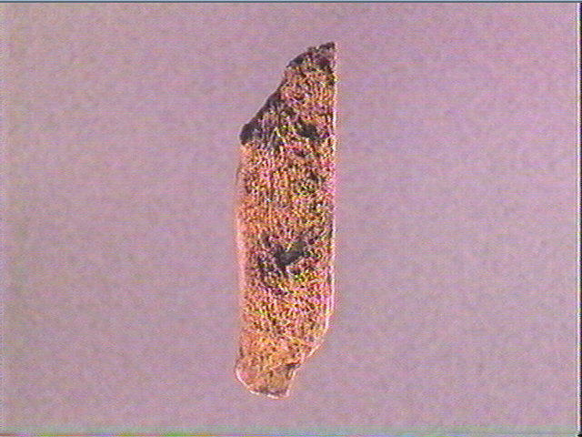 Contour découpé_2