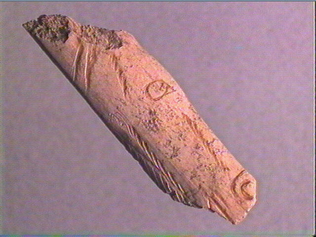 Contour découpé_4