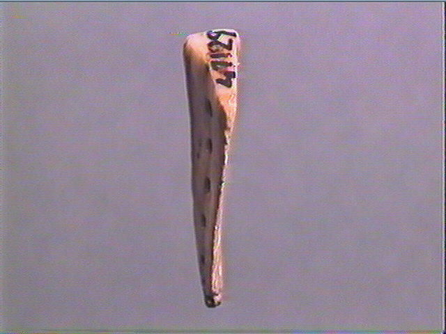 Pendeloque, dent (cheval)_3