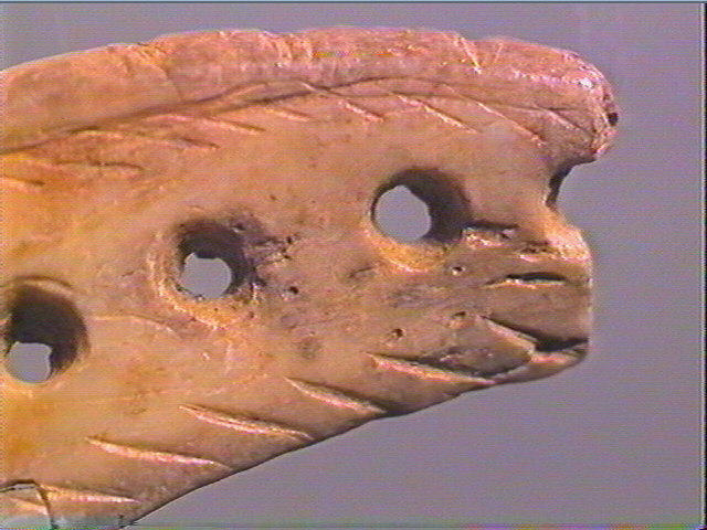 Pendeloque, dent (cheval)_6