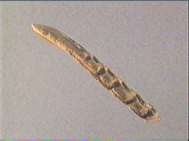 Pendeloque_1