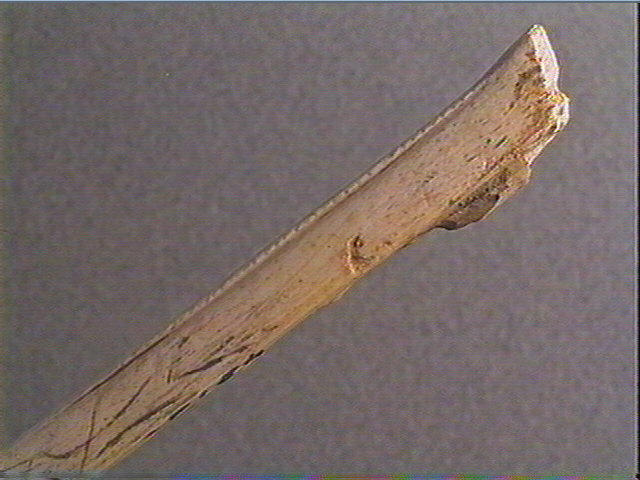Lissoir_1