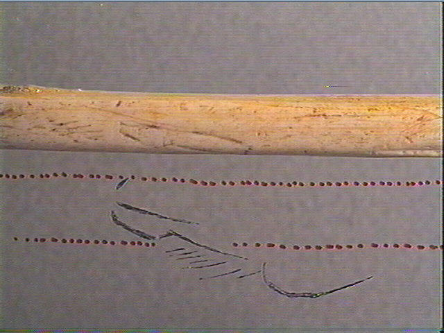 Lissoir_6