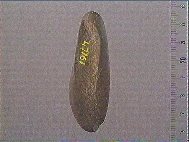 Galet_2