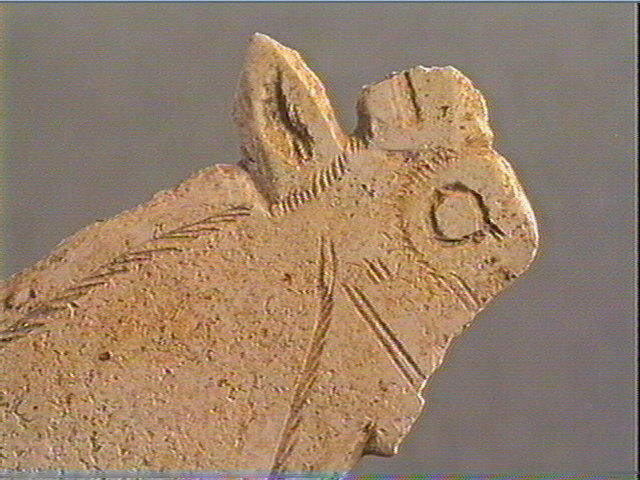 Contour découpé_3