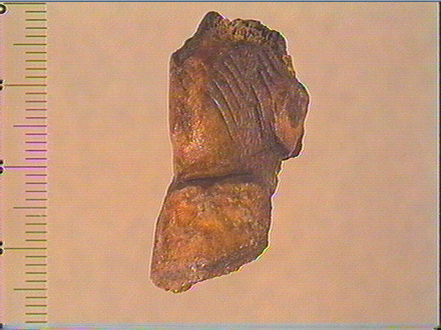 Statuette_0