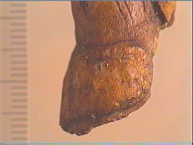 Statuette_6