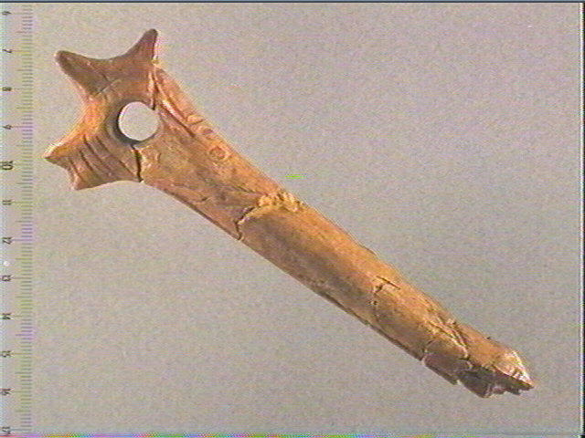 Bâton percé_0