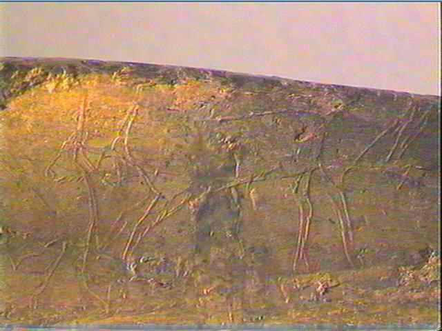 Os indéterminé_5