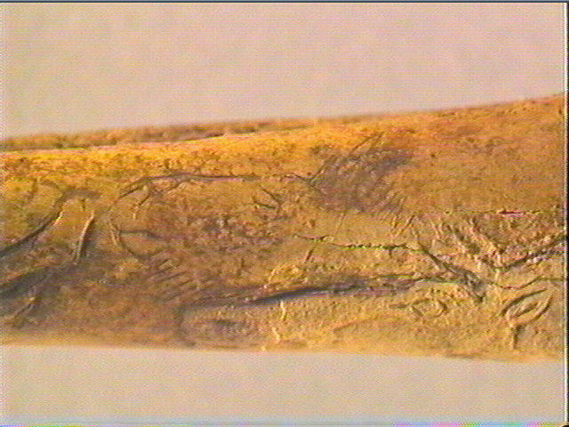 Bâton percé, coin_6