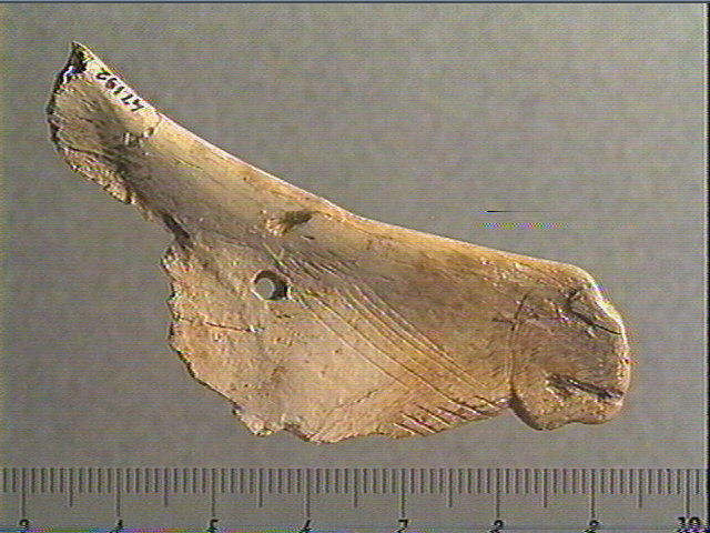 Contour découpé_0