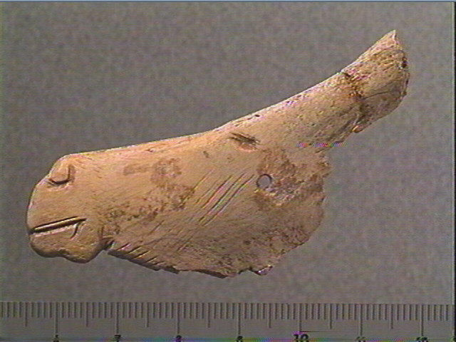 Contour découpé_1