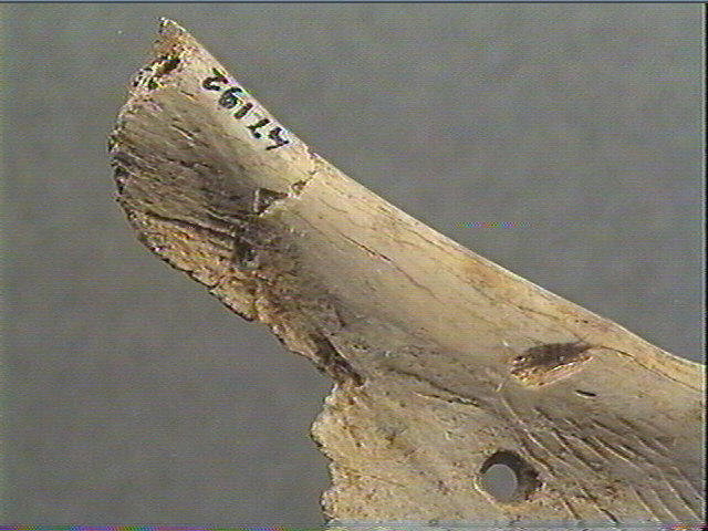 Contour découpé_2