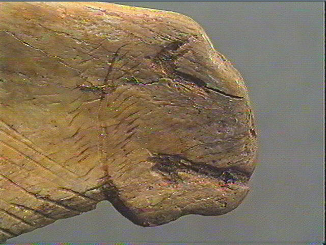 Contour découpé_3
