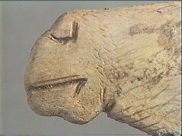Contour découpé_4