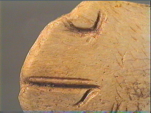 Contour découpé_5