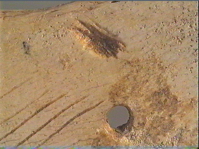 Contour découpé_6
