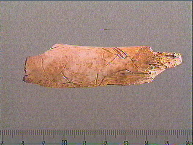 Côte_0