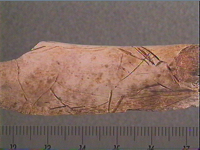 Côte_1