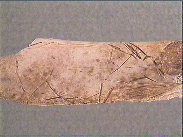Côte_2
