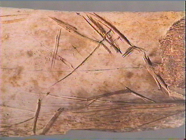Côte_3