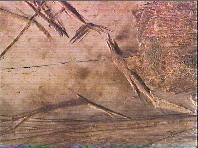 Côte_4