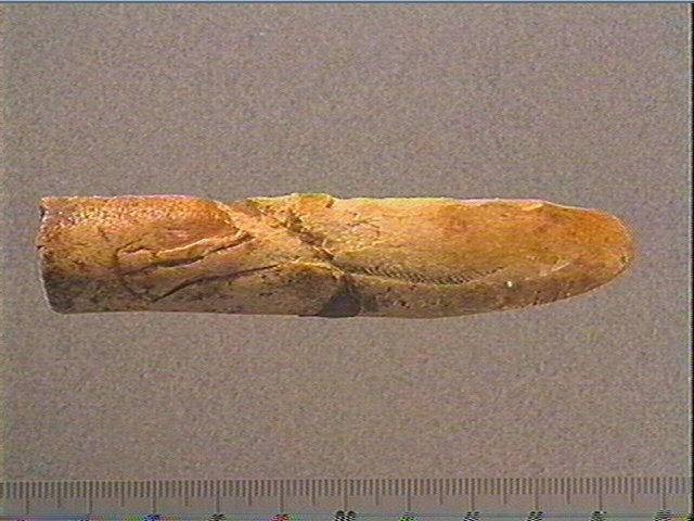 Ciseau, lissoir_0