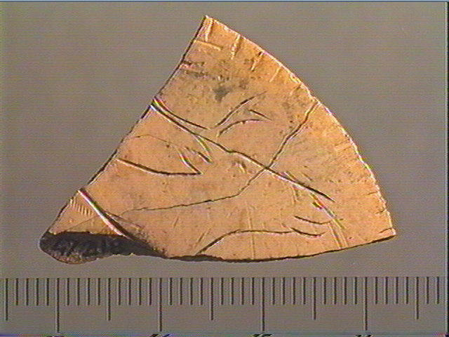 Rondelle, scapula_0