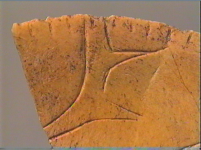 Rondelle, scapula_5