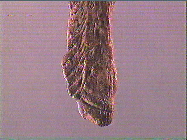Pendeloque_5