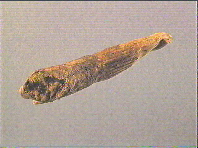 Le Sphynx du Mas-d'Azil_1