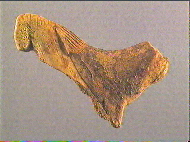 Le Sphynx du Mas-d'Azil_3