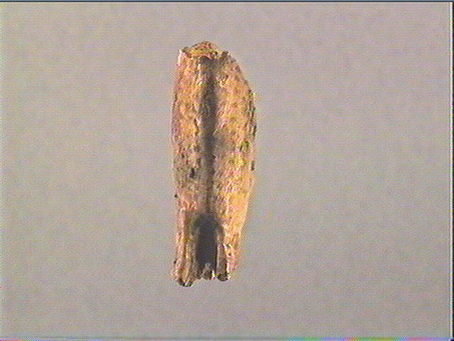 Le Sphynx du Mas-d'Azil_2