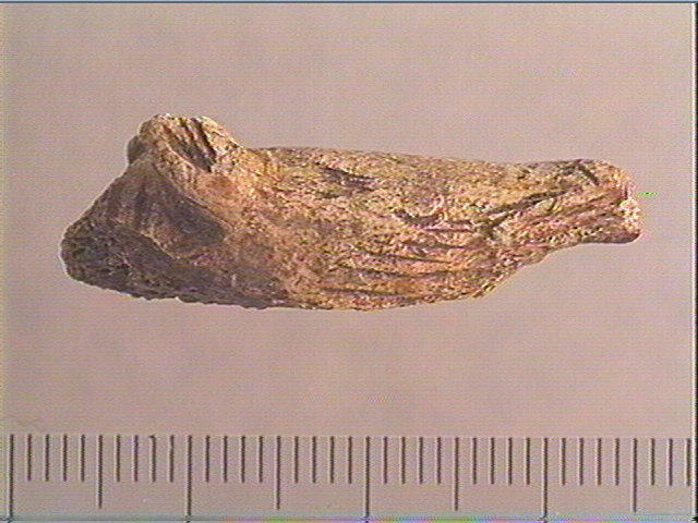 Propulseur (?, fragment)_0
