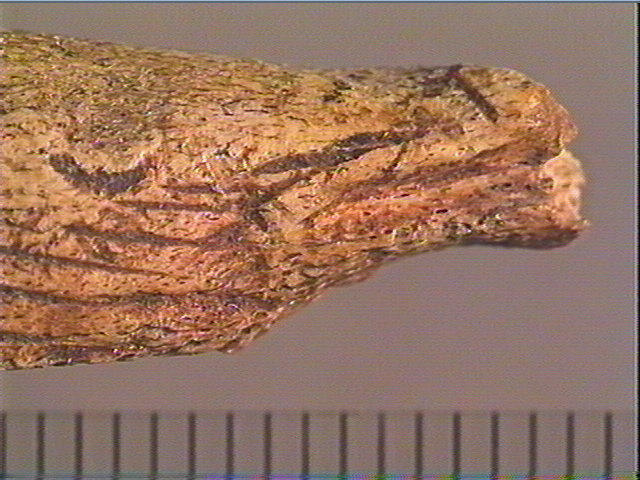 Propulseur (?, fragment)_4