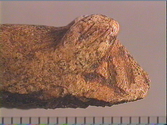 Propulseur (?, fragment)_5